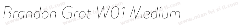 Brandon Grot W01 Medium字体转换